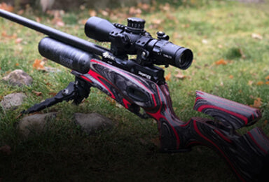 Air Rifles (Spring, Gas Piston, PCP & Co2)