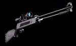 Artemis WF600P Air Rifle 5.5mm/0.22
